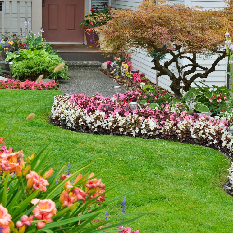 Lawn services in Lawrence, KS