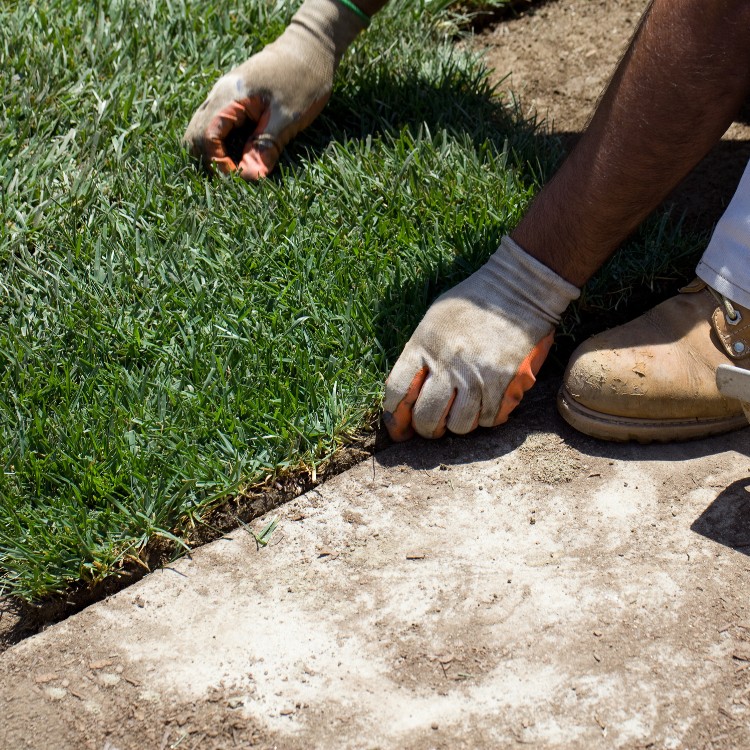 Lawn services in Lawrence, KS