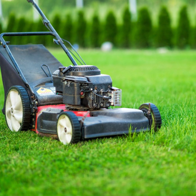 Lawn services in Lawrence, KS