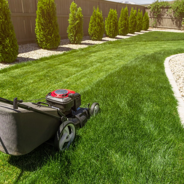 Lawn services in Lawrence, KS