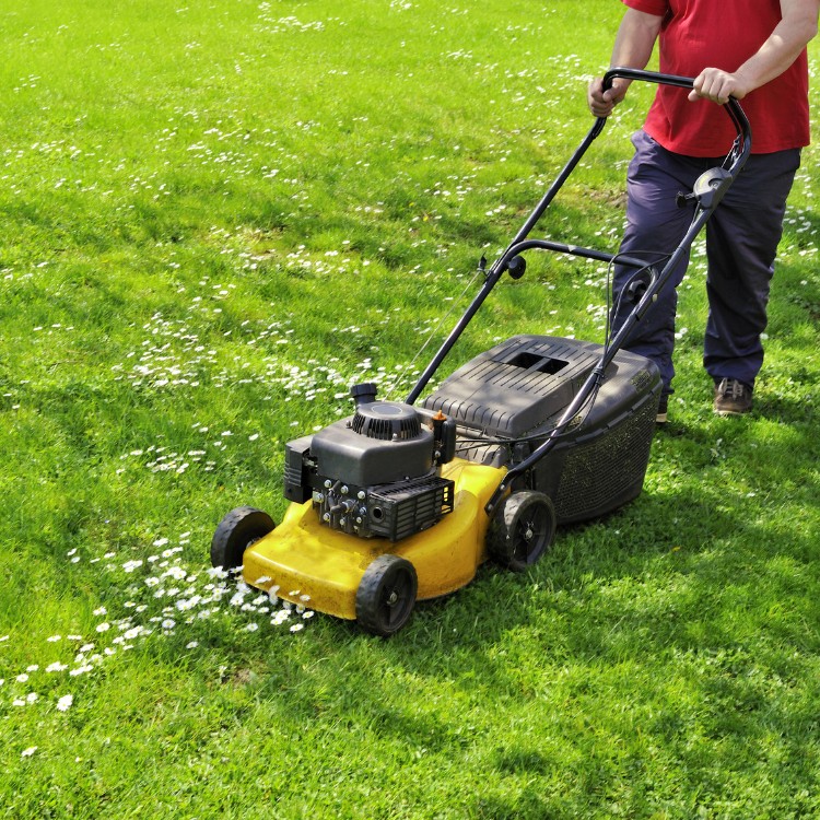 Lawn services in Lawrence, KS